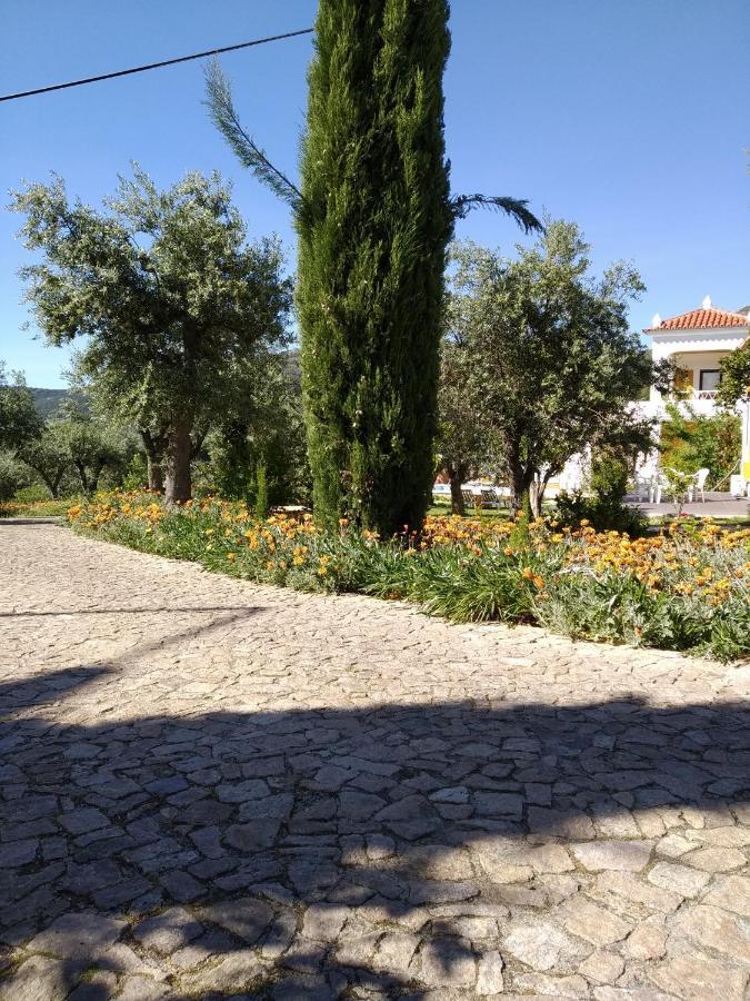 Гостьовий будинок Casa Da Paleta Каштелу-де-Віде Екстер'єр фото